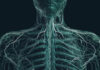 AI in Action: Grok Diagnoses Fracture Missed by Doctors Elon Musk's AI Grok diagnosed a fracture missed by doctors, sparking debate about AI's role in healthcare diagnostics and innovation.