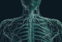 AI in Action: Grok Diagnoses Fracture Missed by Doctors Elon Musk's AI Grok diagnosed a fracture missed by doctors, sparking debate about AI's role in healthcare diagnostics and innovation.