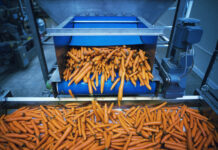 India’s Food Processing Industry to Hit $700B by 2030: PHDCCI India’s food processing industry is projected to grow from $307B in 2023 to $700B by 2030, driven by rising demand and agricultural expansion, says PHDCCI.