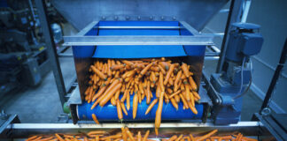 India’s Food Processing Industry to Hit $700B by 2030: PHDCCI India’s food processing industry is projected to grow from $307B in 2023 to $700B by 2030, driven by rising demand and agricultural expansion, says PHDCCI.