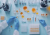 Experts Urge India to Reform Clinical Research Regulations Experts urge India to streamline clinical trial rules to attract more global research and expand market share.