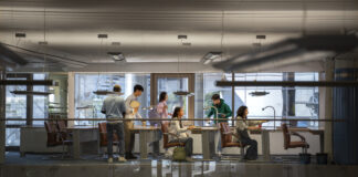 Microsoft Plans More Layoffs, Focuses on Engineers Microsoft may cut non-tech roles in May to boost engineering focus, mirroring Amazon and Google’s restructuring strategies, Business Insider reports.