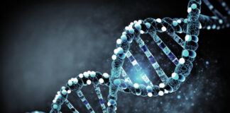 DeepMind Launches Model to Predict Gene Regulation DeepMind AlphaGenome can predict how DNA variants affect gene activity, offering insights into cancer and more.