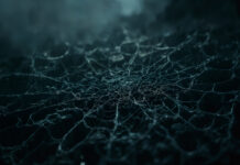 Scattered Spider Strikes Aviation Sector Google and Palo Alto warn of Scattered Spider targeting aviation firms. Recent cyber incidents spark concern over rising threats to airlines.