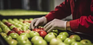 FSSAI Warns Ecommerce Firms on Food Safety Gaps